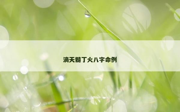 滴天髓丁火八字命例
