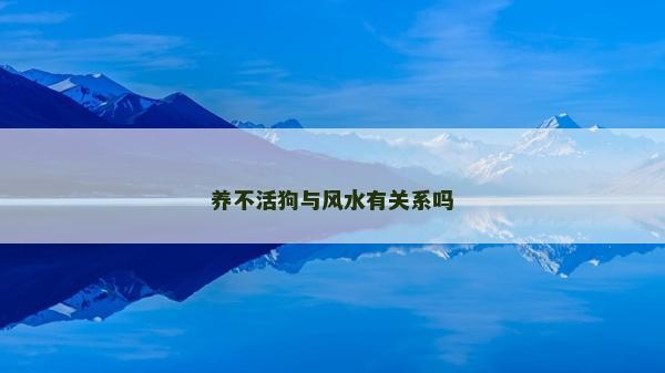 养不活狗与风水有关系吗