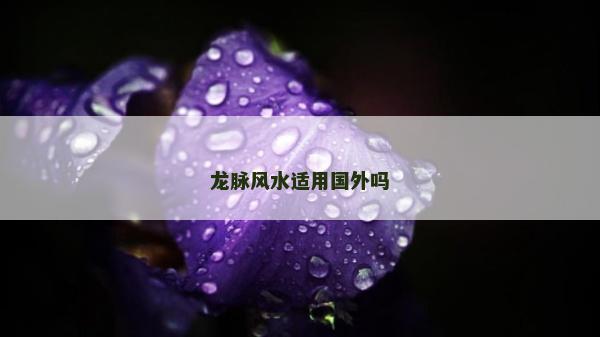 龙脉风水适用国外吗