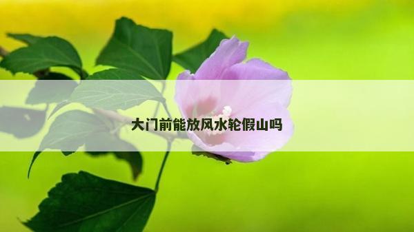 大门前能放风水轮假山吗