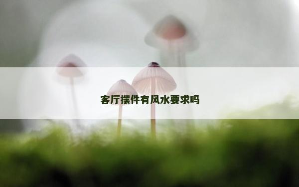 客厅摆件有风水要求吗