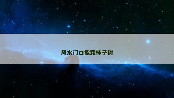 风水门口能栽柿子树