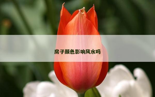 房子颜色影响风水吗