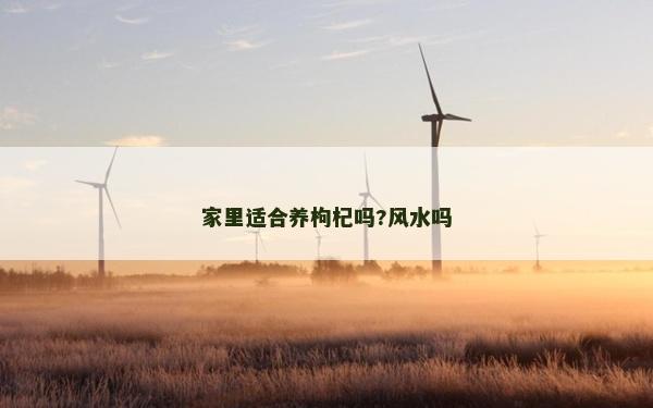 家里适合养枸杞吗?风水吗