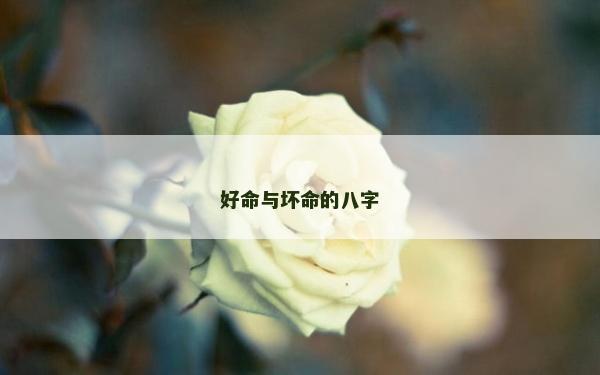 好命与坏命的八字