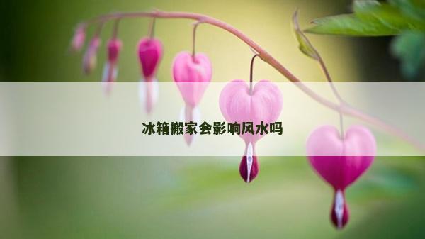 冰箱搬家会影响风水吗