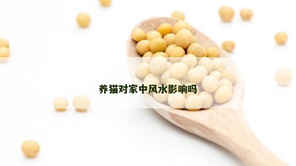 养猫对家中风水影响吗