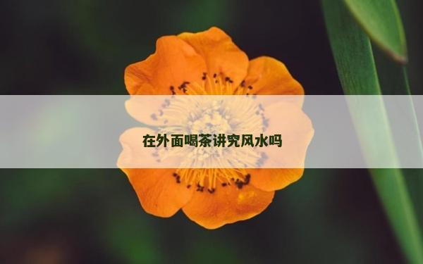 在外面喝茶讲究风水吗