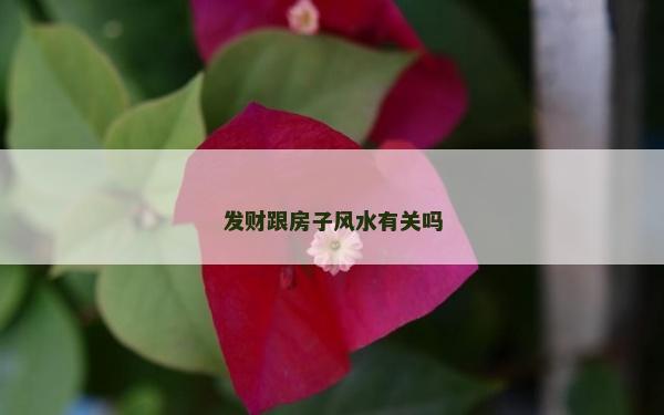 发财跟房子风水有关吗