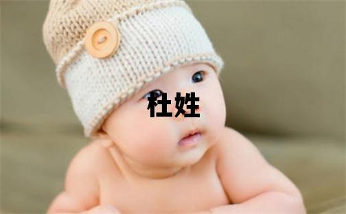 杜姓有涵养的男孩名字,取什么名字好