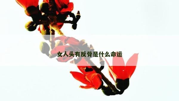 女人头有反骨是什么命运