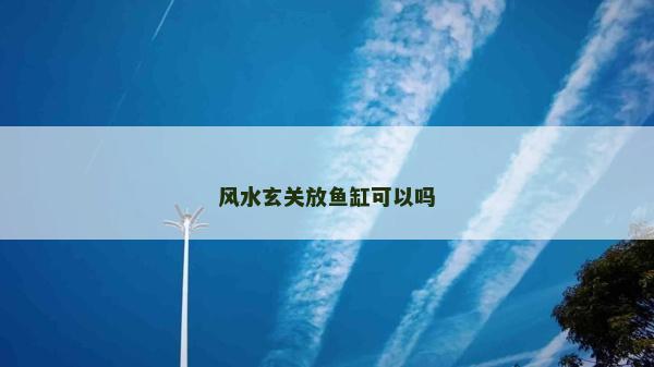 风水玄关放鱼缸可以吗