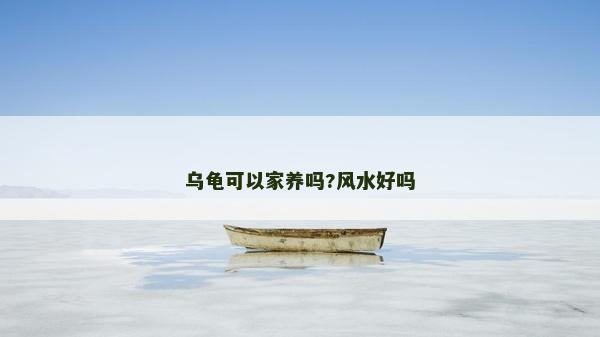 乌龟可以家养吗?风水好吗