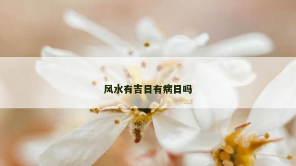 风水有吉日有病日吗