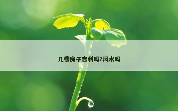 几楼房子吉利吗?风水吗