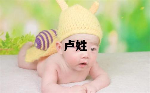 卢姓取名有气质的男宝宝名字