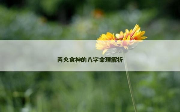 丙火食神的八字命理解析