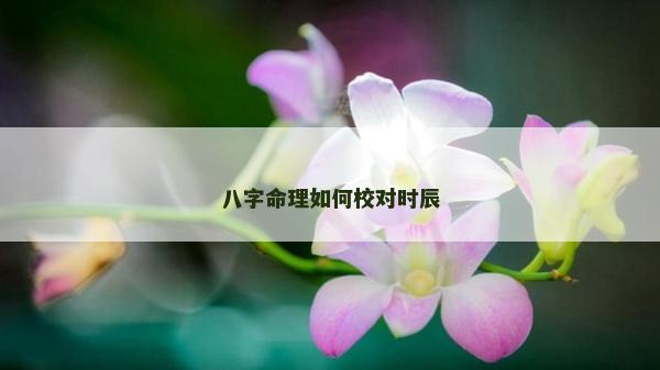 八字命理如何校对时辰