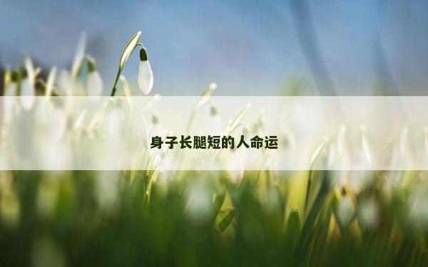 身子长腿短的人命运