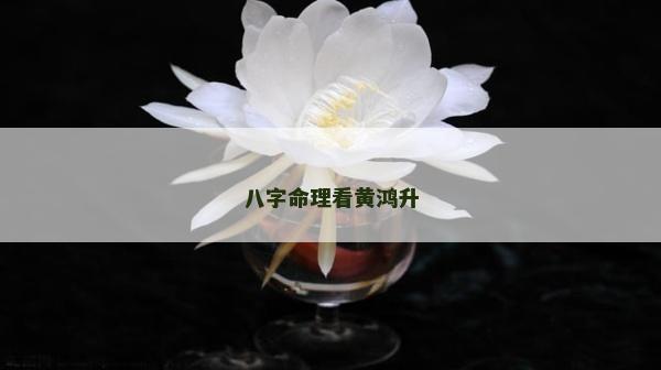八字命理看黄鸿升