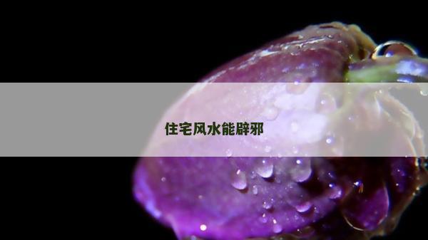 住宅风水能辟邪