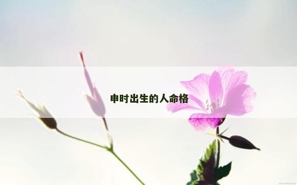 申时出生的人命格