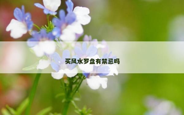 买风水罗盘有禁忌吗