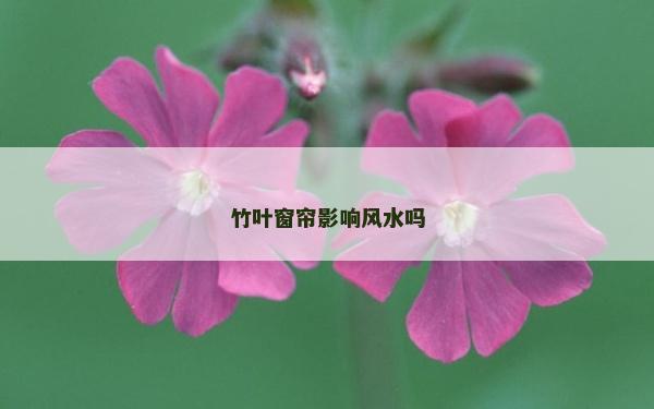 竹叶窗帘影响风水吗