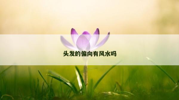 头发的偏向有风水吗