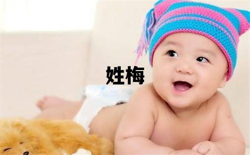 姓梅叫什么名字好 姓梅的女孩冷门独特的名字