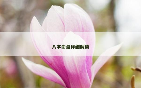 八字命盘详细解读