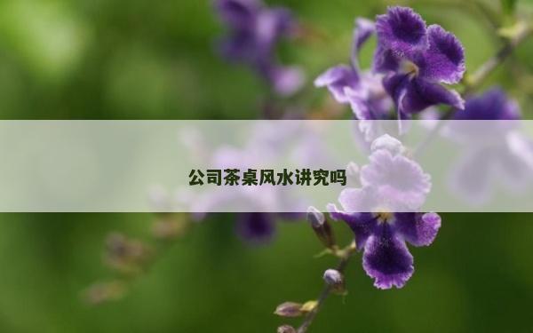 公司茶桌风水讲究吗