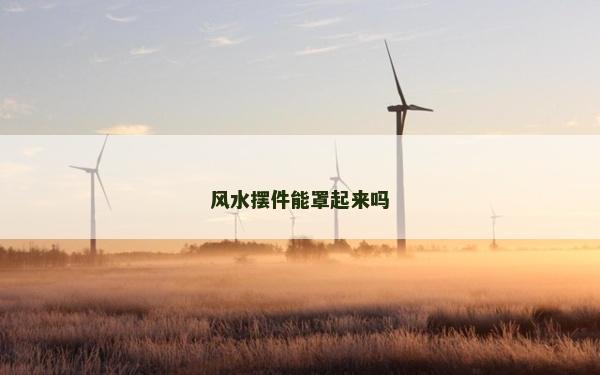 风水摆件能罩起来吗