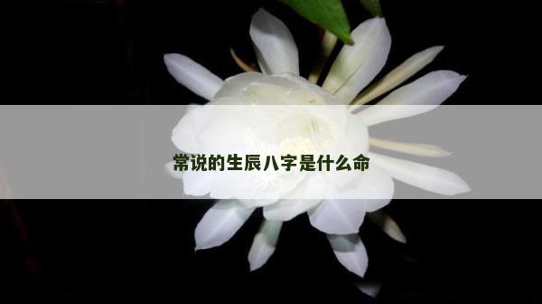 常说的生辰八字是什么命