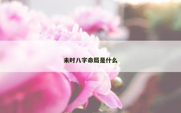 未时八字命局是什么