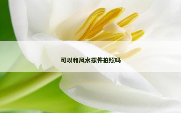 可以和风水摆件拍照吗