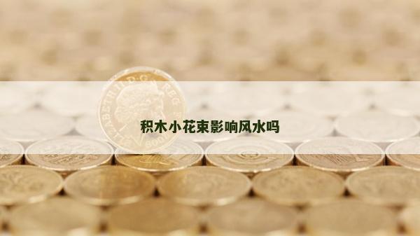 积木小花束影响风水吗