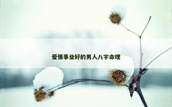 爱情事业好的男人八字命理