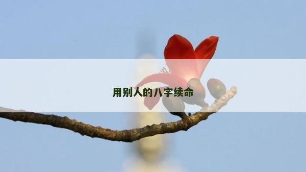 用别人的八字续命