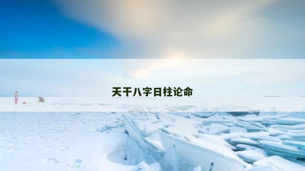 天干八字日柱论命