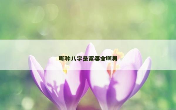 哪种八字是富婆命啊男