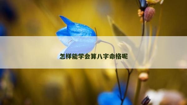 怎样能学会算八字命格呢