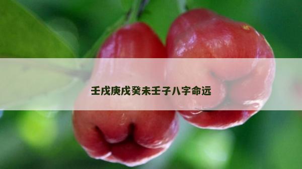 壬戌庚戌癸未壬子八字命远