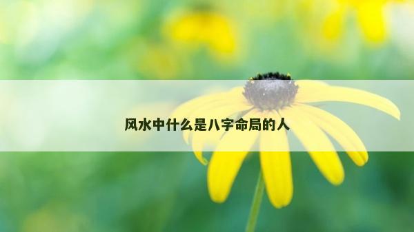 风水中什么是八字命局的人