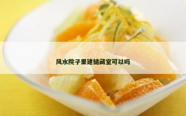 风水院子里建储藏室可以吗