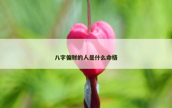 八字偏财的人是什么命格