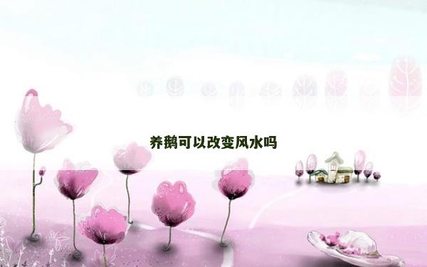 养鹅可以改变风水吗