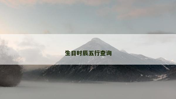 生日时辰五行查询