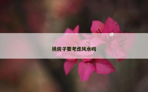 挑房子要考虑风水吗