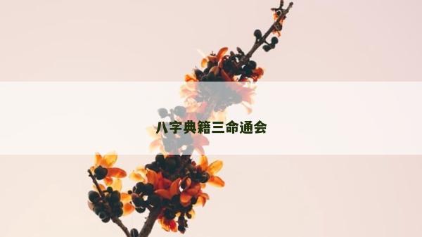 八字典籍三命通会